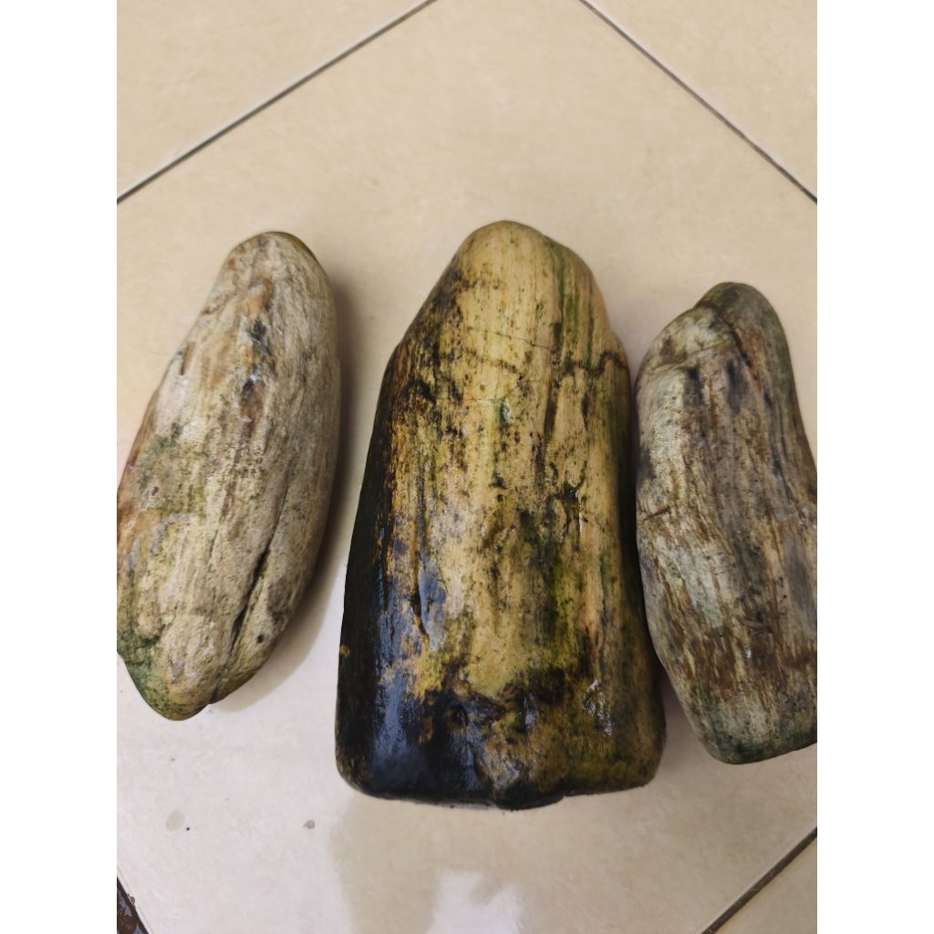 BATU FOSIL GALIH KELOR MOTIF CREAM TEMBUS SENTER