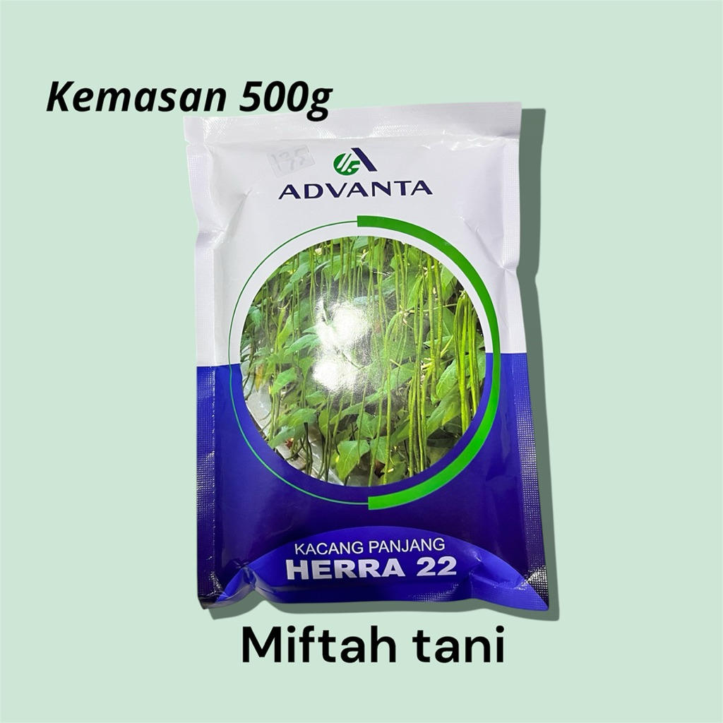 Kacang panjang herra 22 ADVANTA