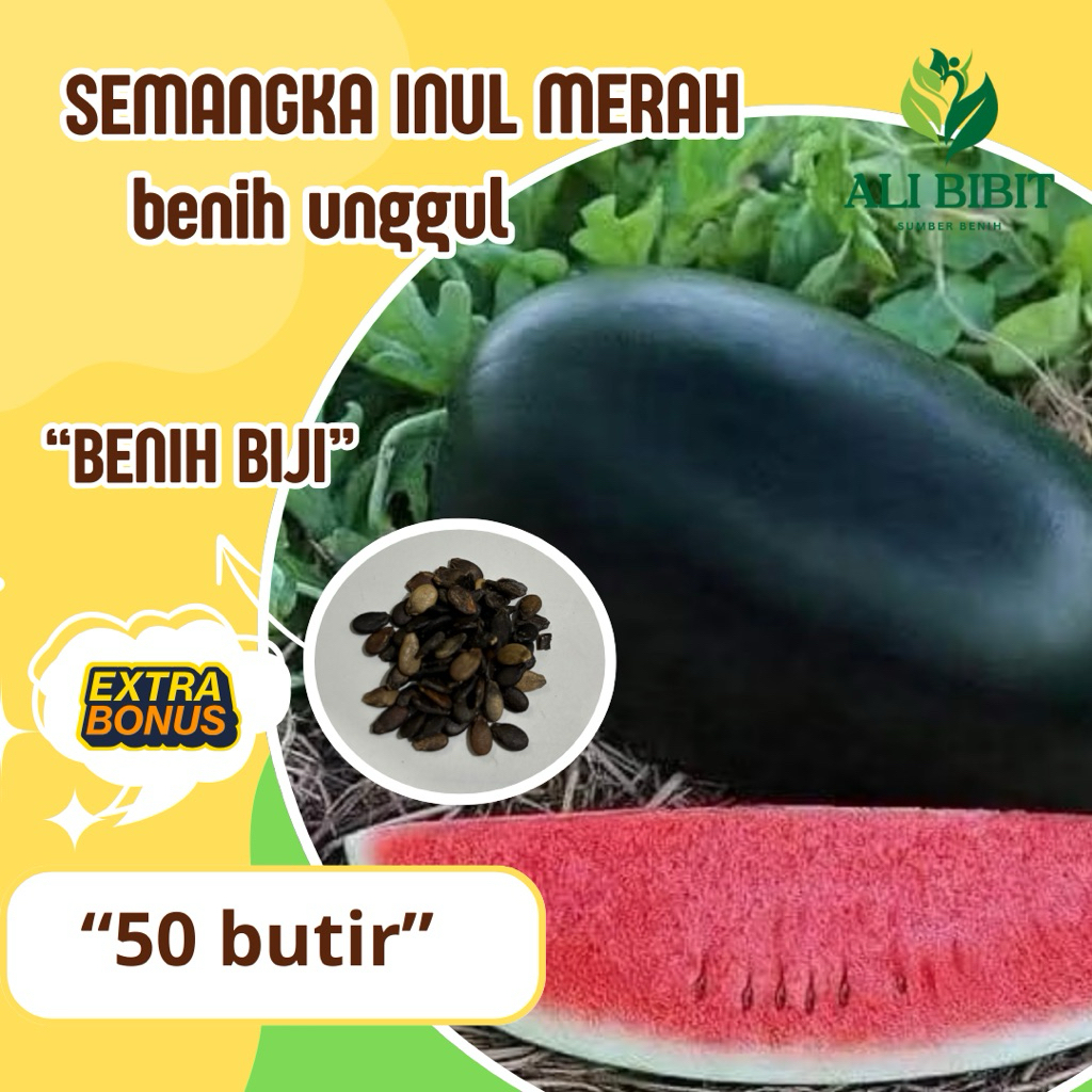 50 Butir > Benih Biji Semangka Inul Merah> Bibit Semangka Inul Bonus Benih