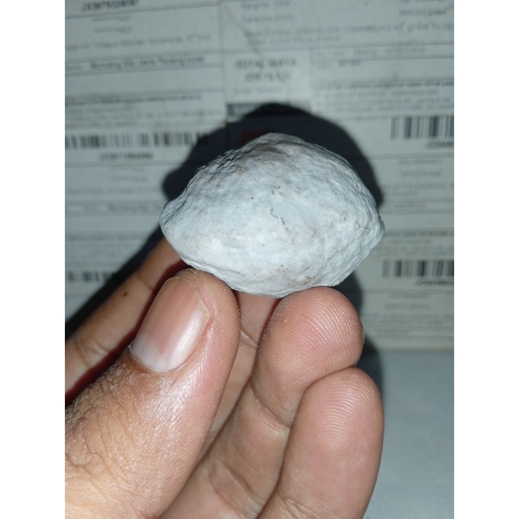 Muncang Adu Jayanti Anak Gogog Super full cuka