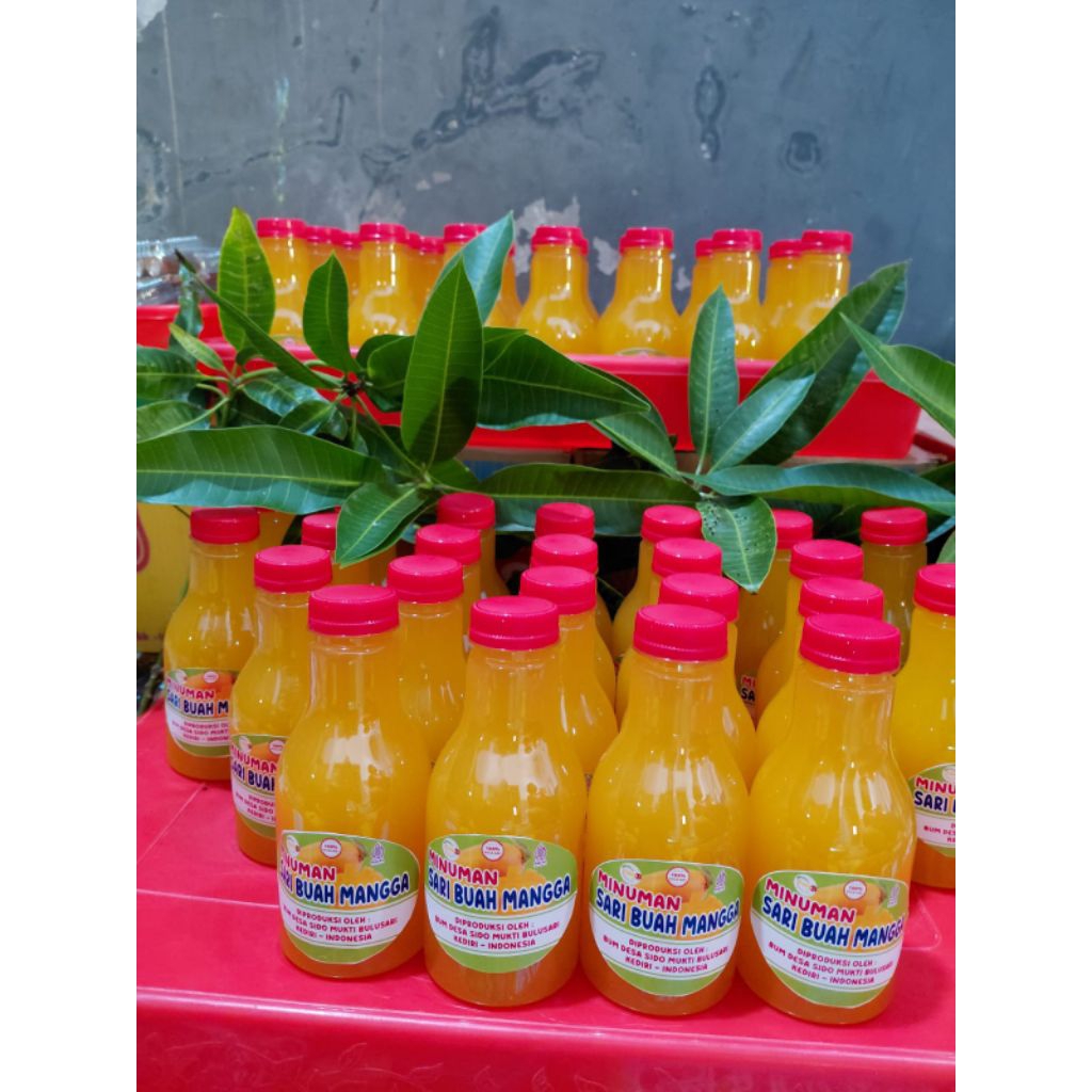 minuman sari buah mangga podang fresh