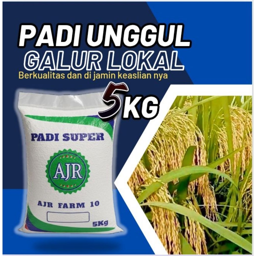 Benih padi unggul Galur lokal 5kg original