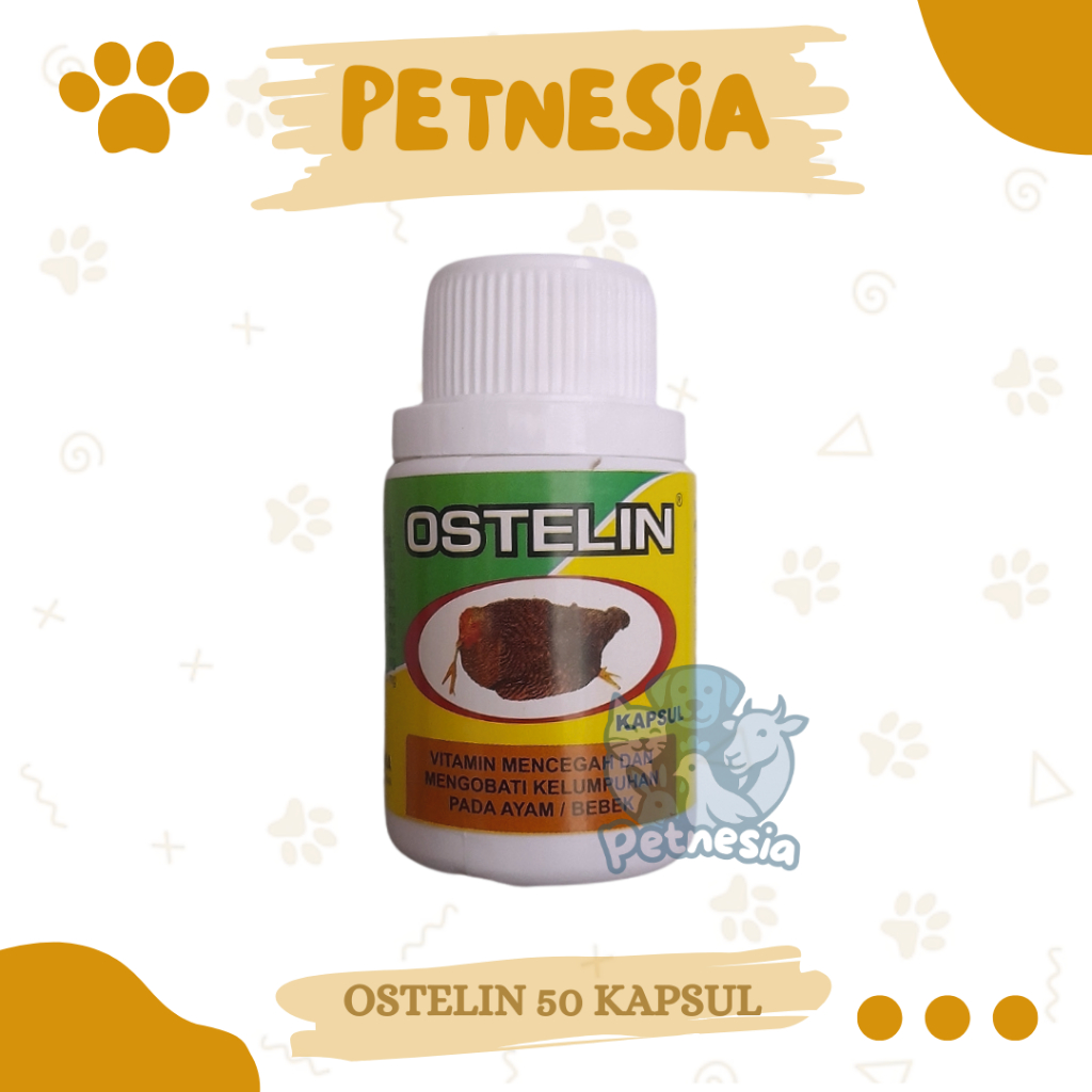 OSTELIN 50 KAPSUL - Cegah & Obati Kelumpuhsn Pada Ayam Bebek - Obat Ayam Lumpuh Ampuh