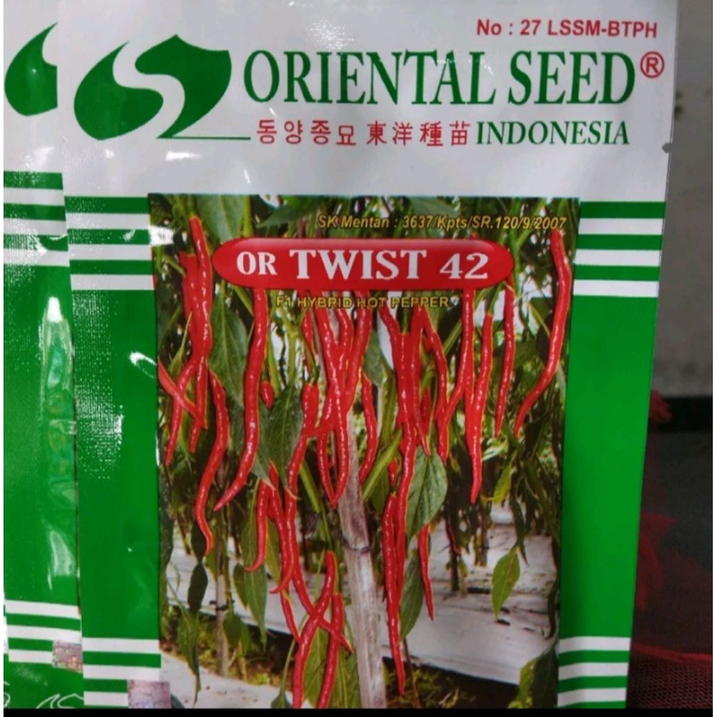 CABE KERITING OR TWIST 42  ASLI/ORI ex 07/2027