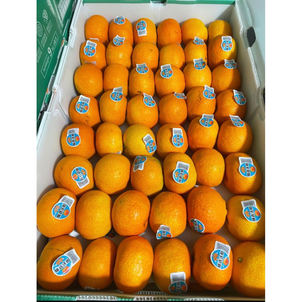 Jeruk Wogan 1 dus ±9 kg