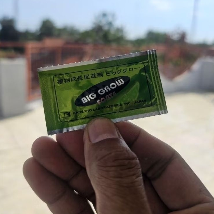 ZPT GA3 Jepang Big Grow Forte Gibberellic Acid 20 WP