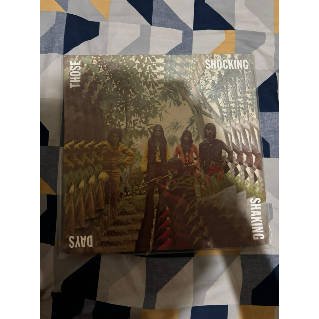 Vinyl those shocking shaking days