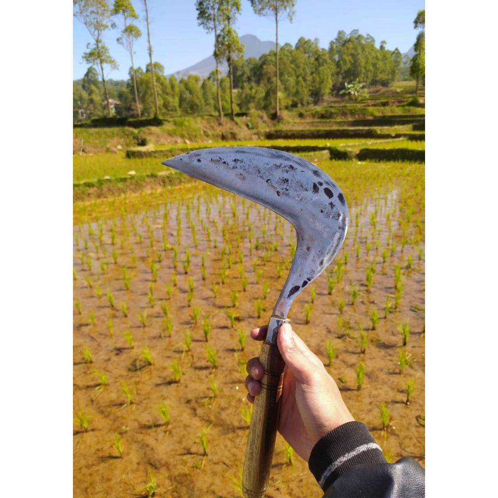 Arit Baja per asli perkakas kebun pengaritan rumput jadi kokoh dan awet