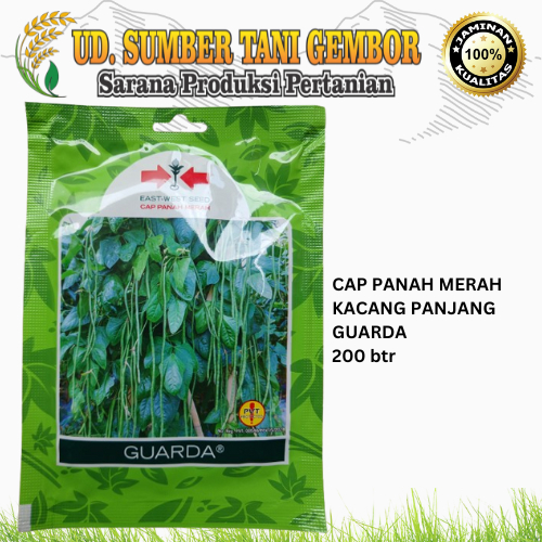 BENIH KACANG PANJANG - GUARDA - CAP PANAH MERAH