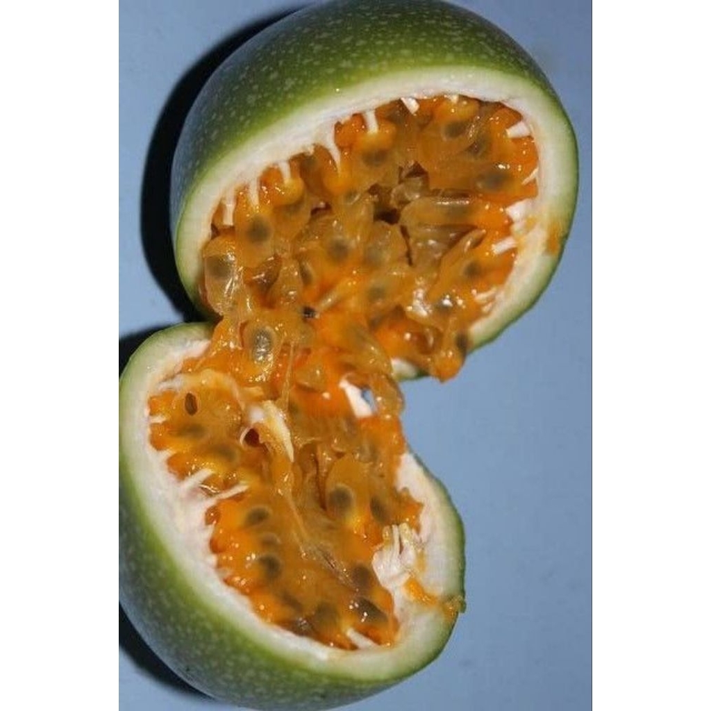 buah markisa seger asam manis 1kg