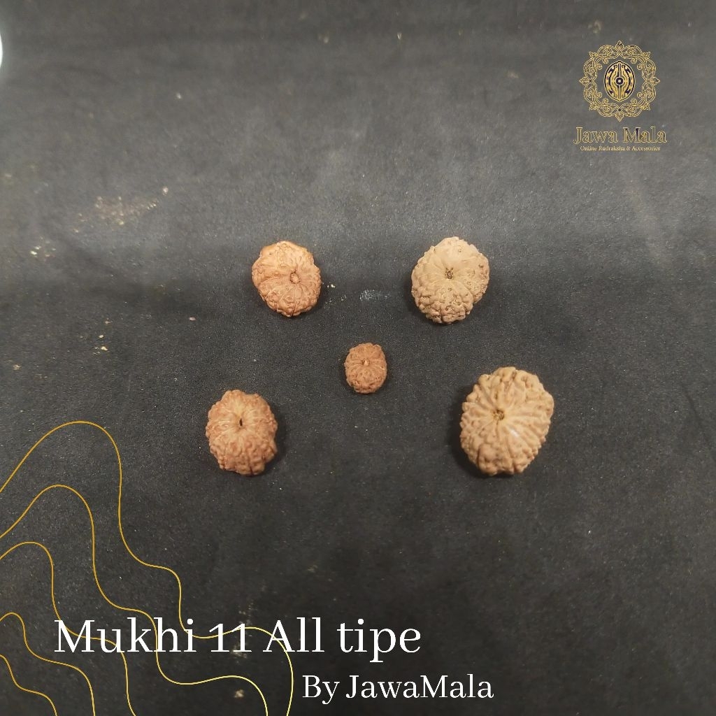 Mukhi 11 All tipe A original