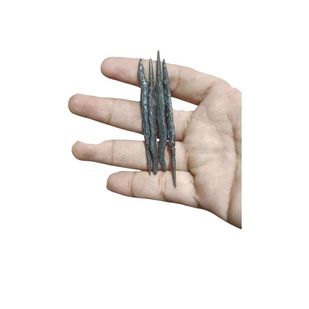 koleksi cacing kanil