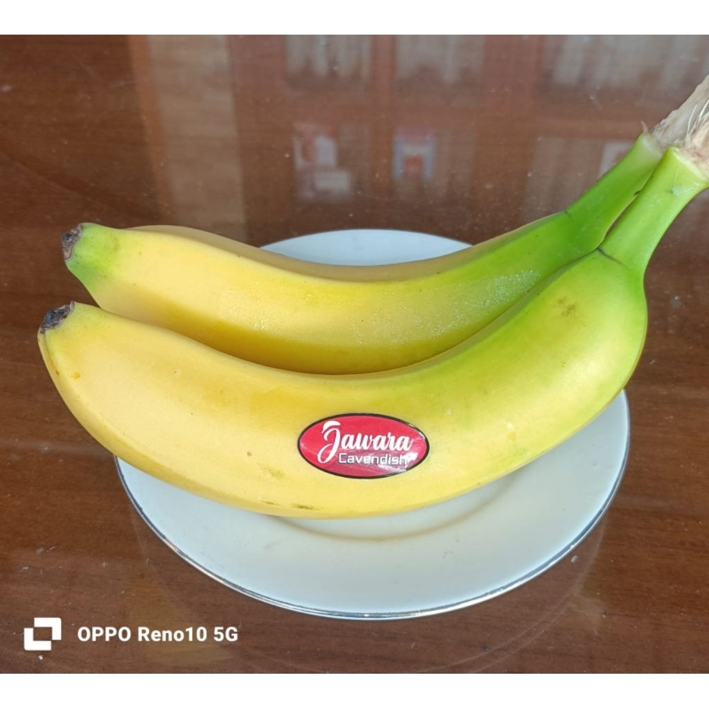 pisang Cavendish Sunpride
