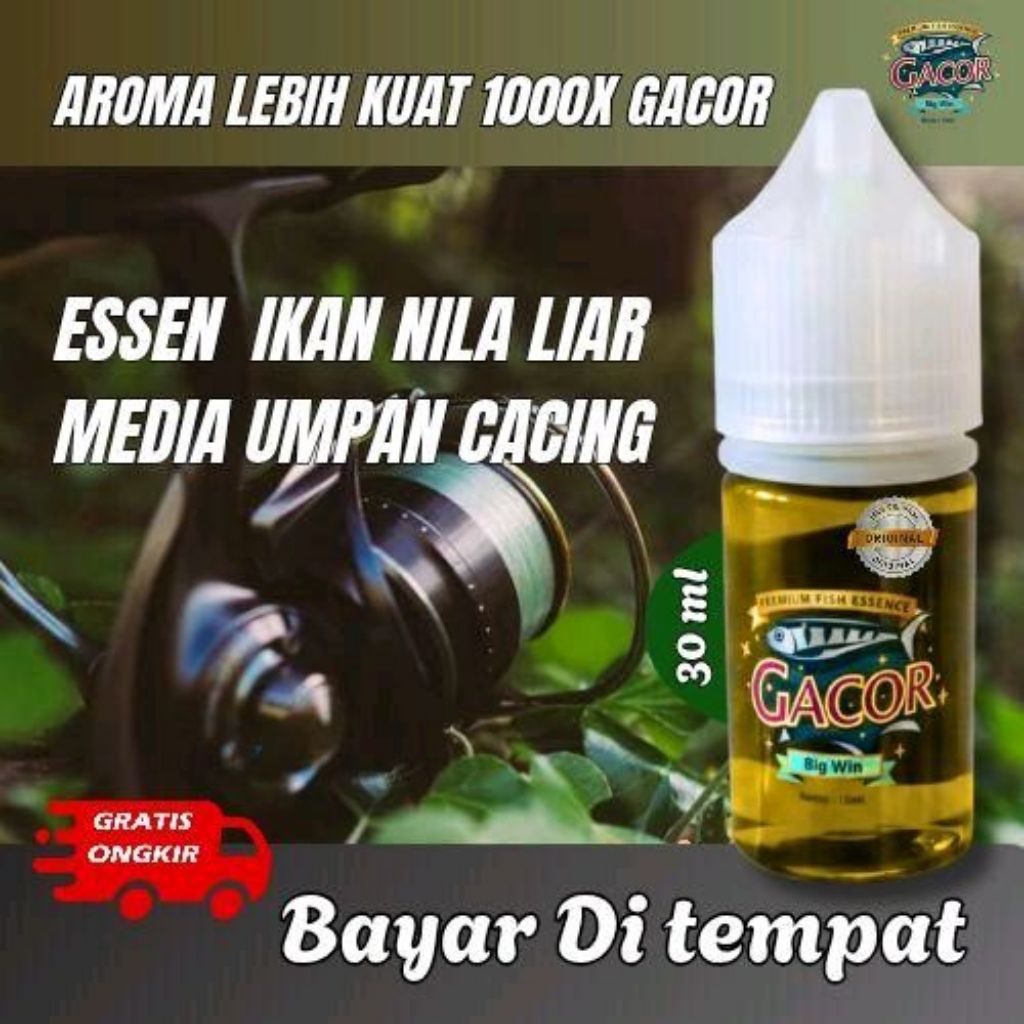 Essen Mancing Ikan Nila Liar Media Umpan Cacing
