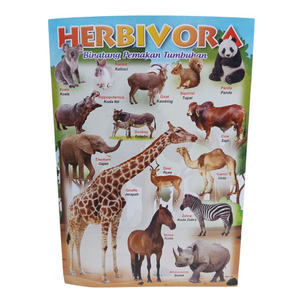 POSTER HEWAN EDUKASI ANAK