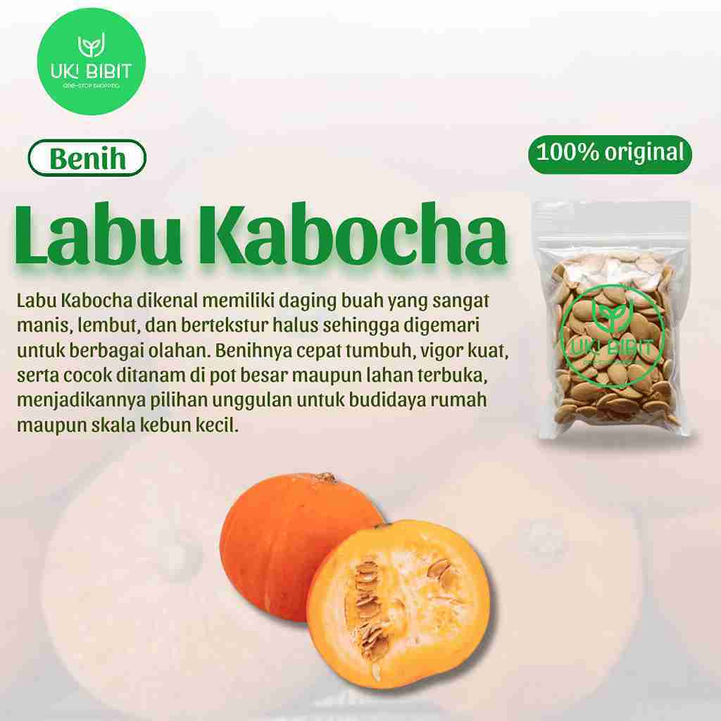 ( 1 Butir ) Benih Biji Labu Kabocha | Labu Jepang | Kabocha Squash