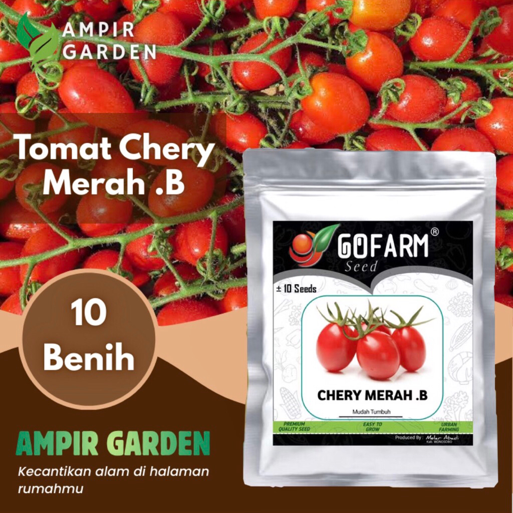 Benih TOMAT CHERRY MERAH Kemasan Premium GOFARM / Biji Tanaman Tomat Mini Ceri Merah Rasa Manis