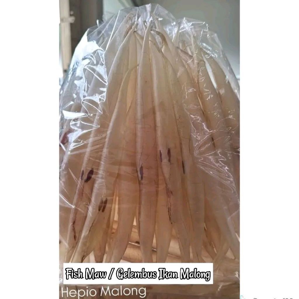 Hephio Mentah - Perut Ikan Malong - Fish Maw - Gelembus Ikan - Gelembung Ikan - Hephio - Yipiaw - Hi