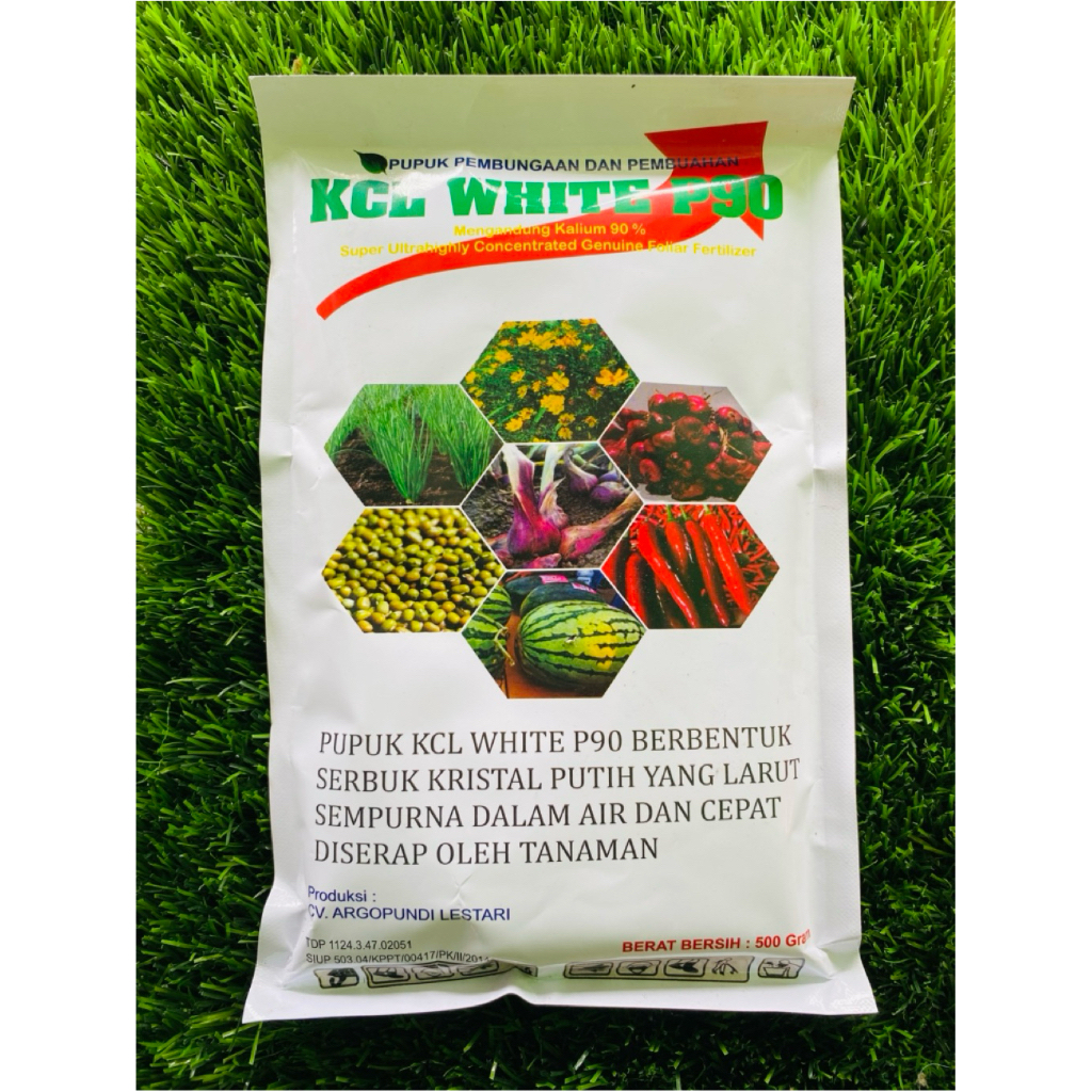 (A1) PUPUK KCL WHITE P90 500gram - pupuk kcl berkualitas original maju jaya