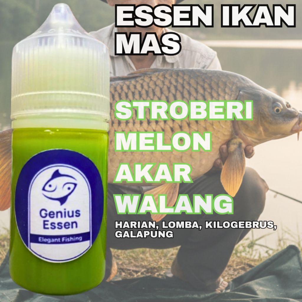 ESSEN IKAN MAS VARIAN STEOBERI MELON AKARWALANG essen ikan mas harian essen ikan mas lomba essen ika