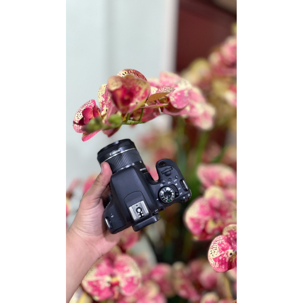 canon 800d bukan canon 850d bukan canon 90d bukan canon 80d