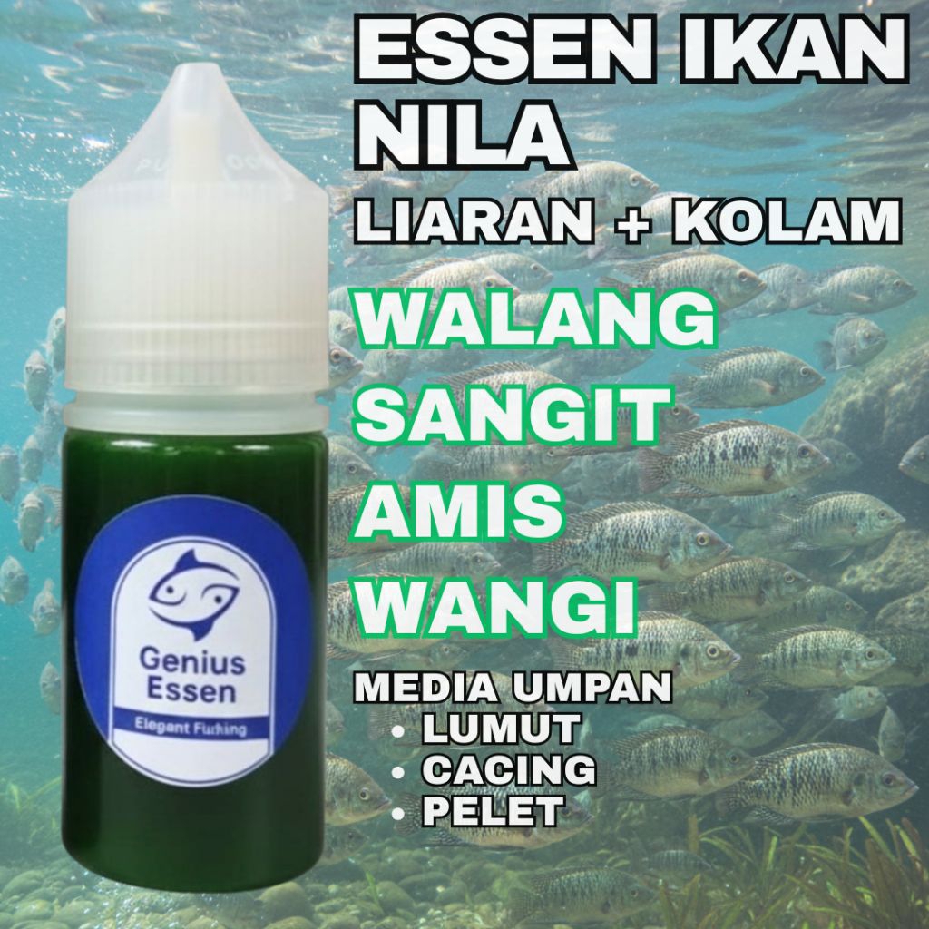 ESSEN IKAN NILA VARIAN WALANGSANGIT AMIS WANGI essen ikan nila liaran essen ikan nila kolam essen ik