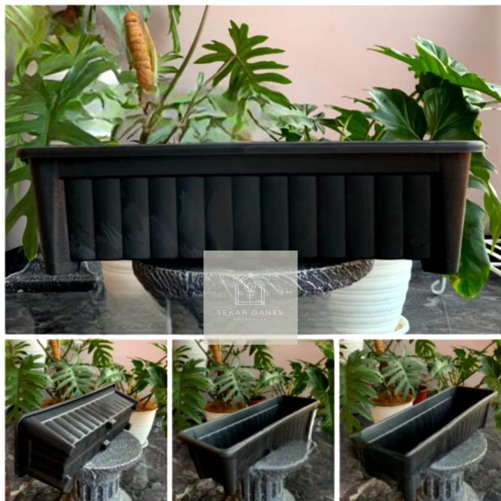 pot lee kwan yew hitam plastik pot panjang 50cm