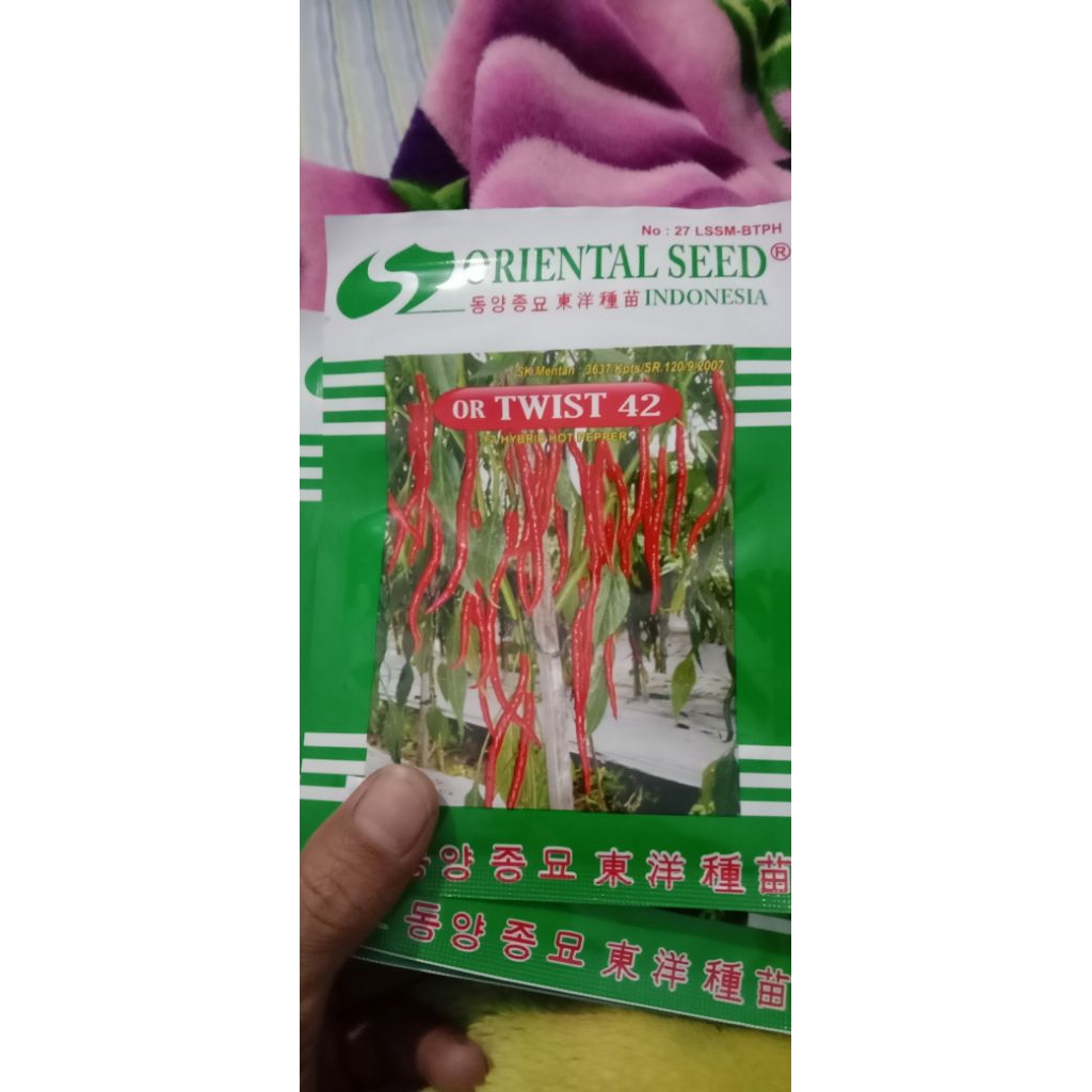 Benih Cabe OR TWIST 42 10 Gram