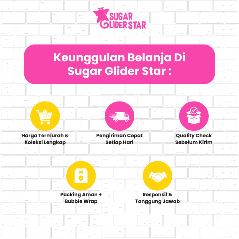 ADEWAP GLIDER Sleeping Pouch Doraemon Big Size Sugar Glider
