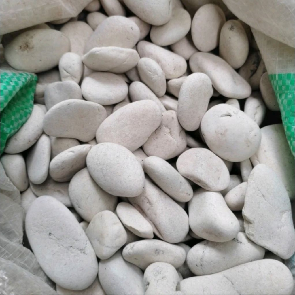 BATU HIAS KORAL PUTIH KUPANG kemasan 500gram dan 1Kg cocok untuk dekorasi taman,pot bunga, aquarium,