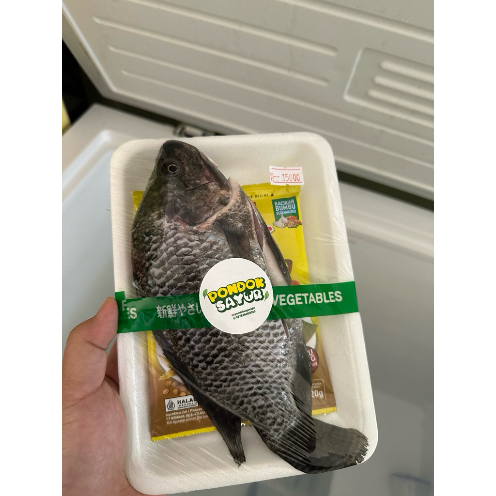 ikan nila frozen /ikan nila beku /ikan nila siap goreng