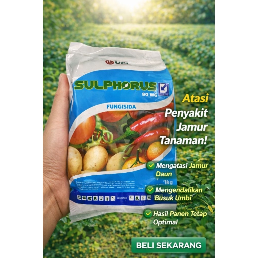 Fungisida sulphorus 80WG belerang ukuran 1kg