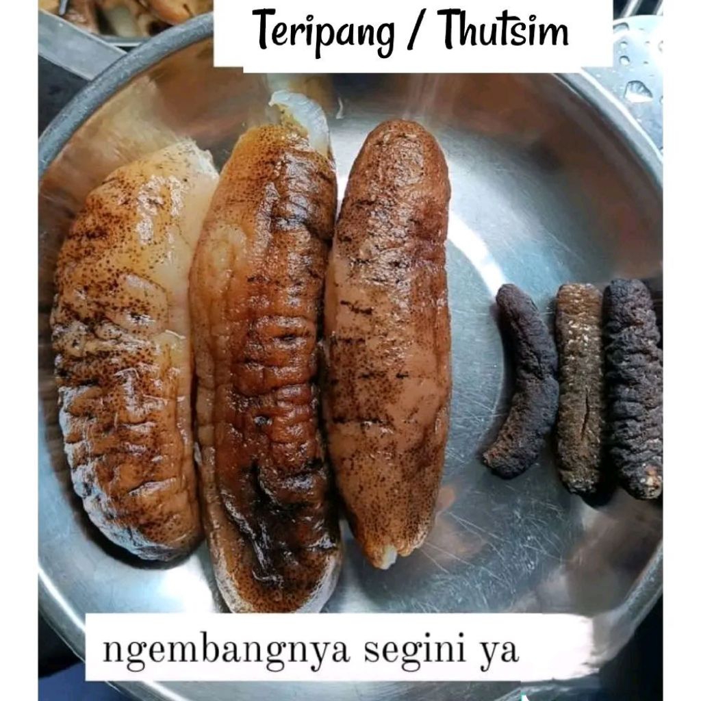 Haisim Thutsim (±250g) Teripang Kering / Sea Cucumber / Timun Laut / Tutsim / Haisom / Thut sim / Ho