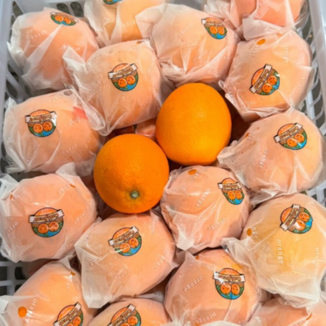 Jeruk Sunkist Navel Califresh manis