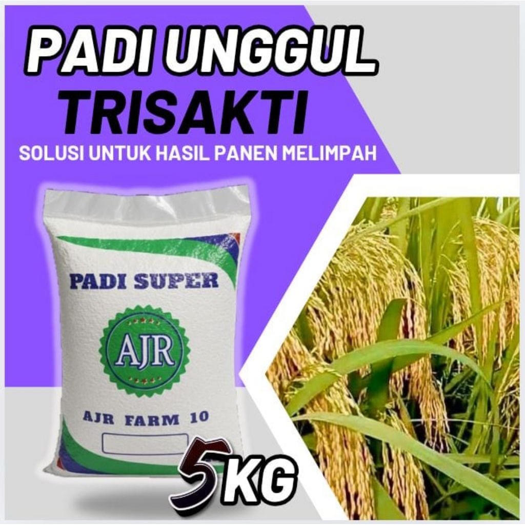 Benih padi unggul TRISAKTI 5Kg