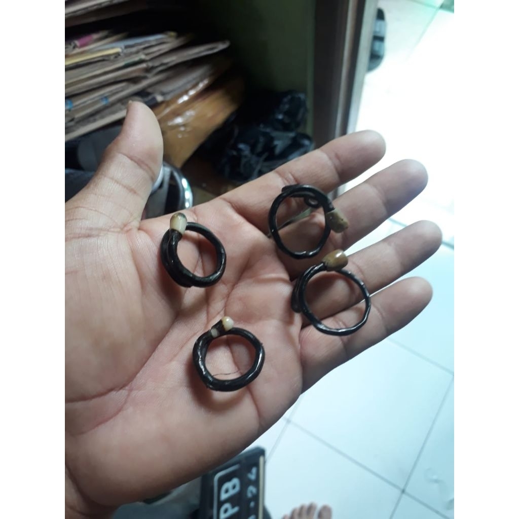 cincin akar bahar, bahar root ring