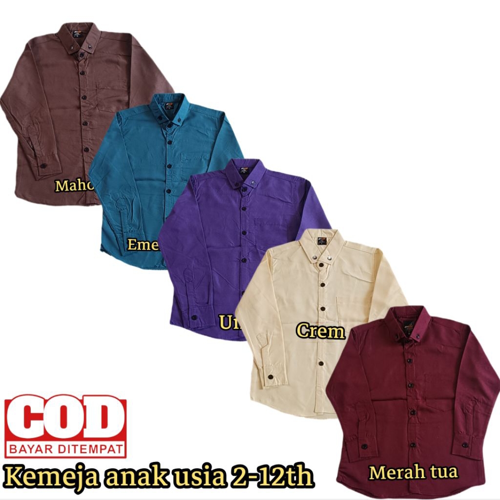 Kemeja anak laki laki lengan panjang usia 2-12 tahun putih polos hem anak laki laki baju anak