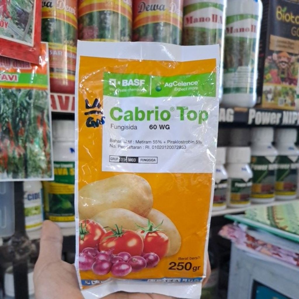Fungisida Cabrio Top 60 WG