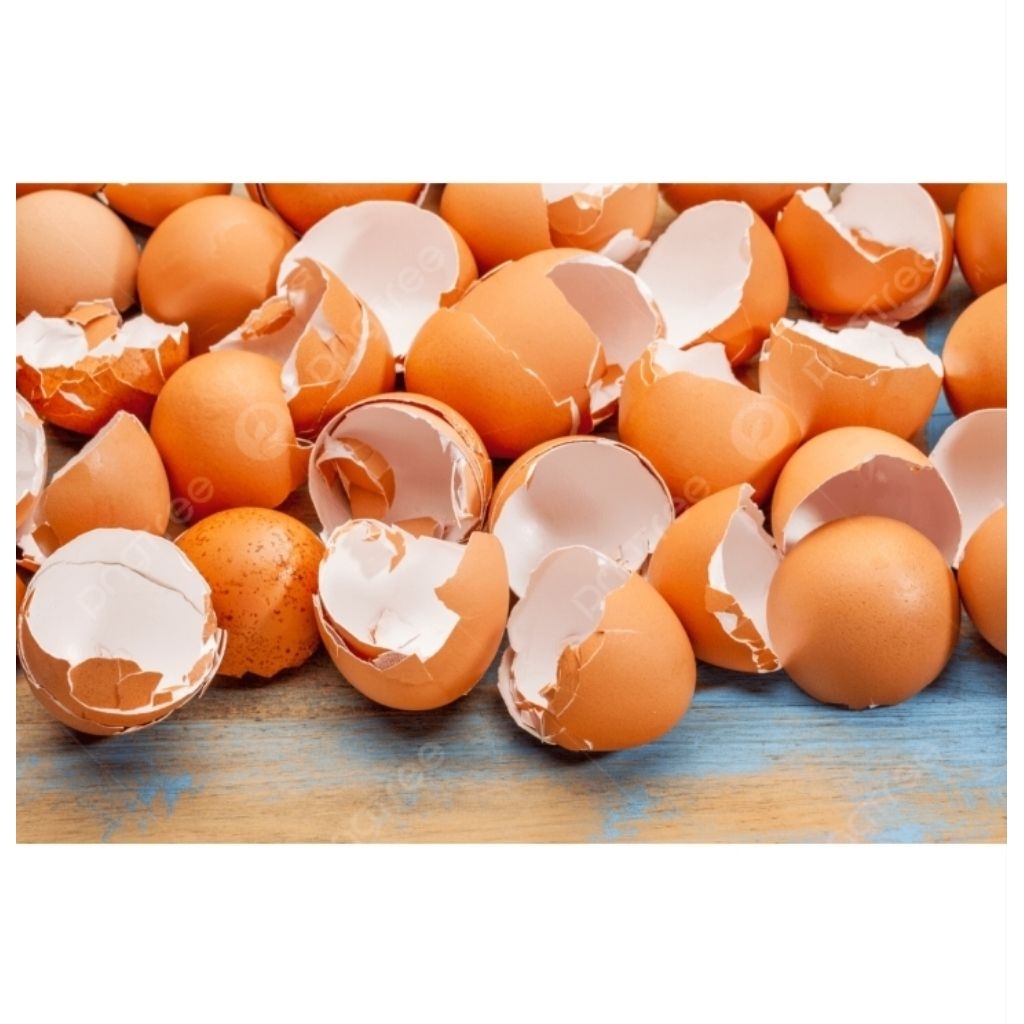 Cangkang Kulit Telur Ayam 1 kg- Pupuk Organik Tanaman & Pakan Ternak Kalsium Tinggi - Steril Bersih