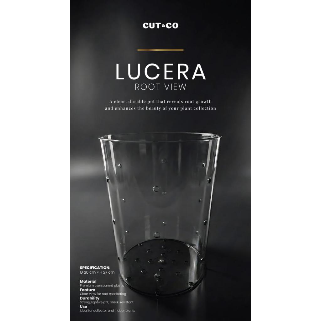 Pot bening transparan (Lucera Pot Root View)