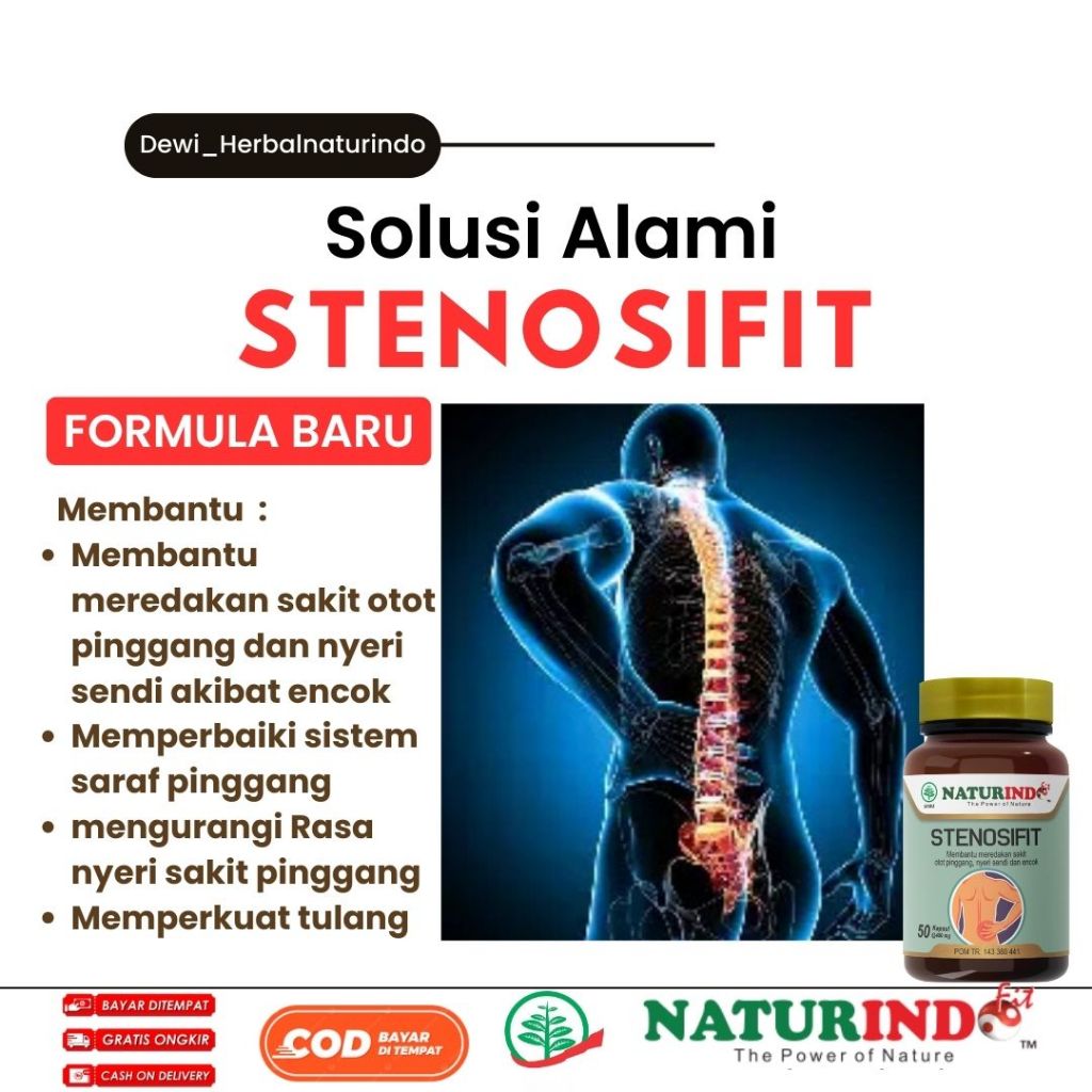 Jamu Encok Sakit Pinggang Saraf Kejepit Menjalar Sampai kaki