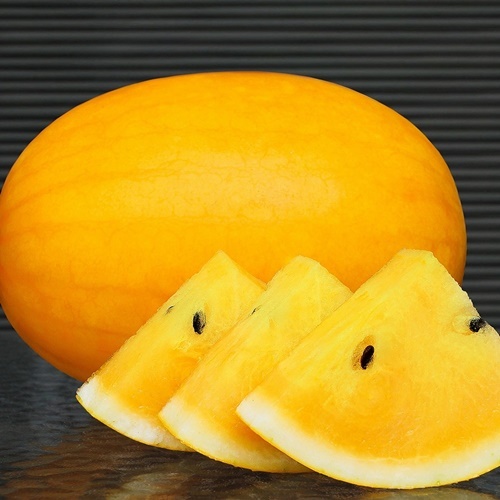 2 Benih Biji Semangka INDEN F1