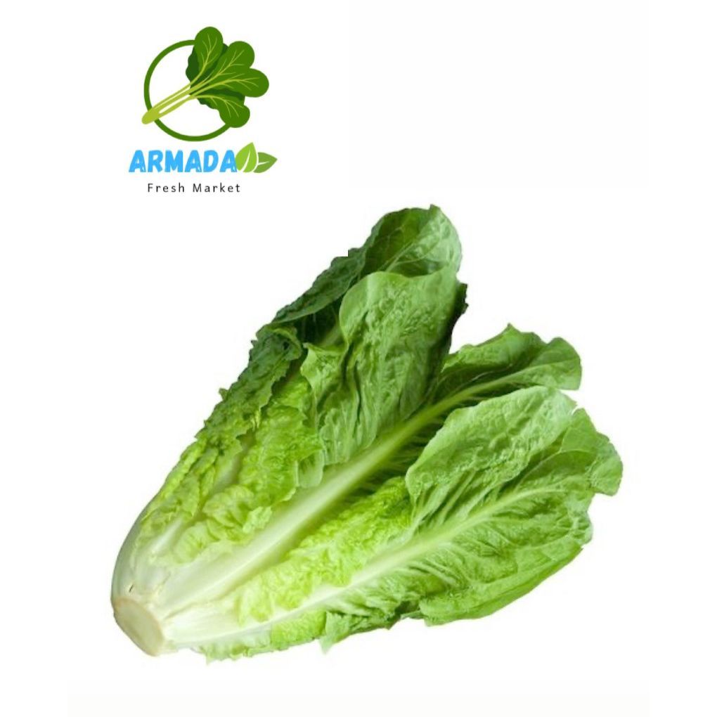 Romaine Lettuce 1kg