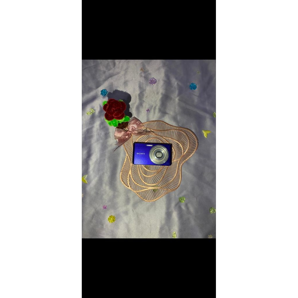 digicam Sony w610 blue