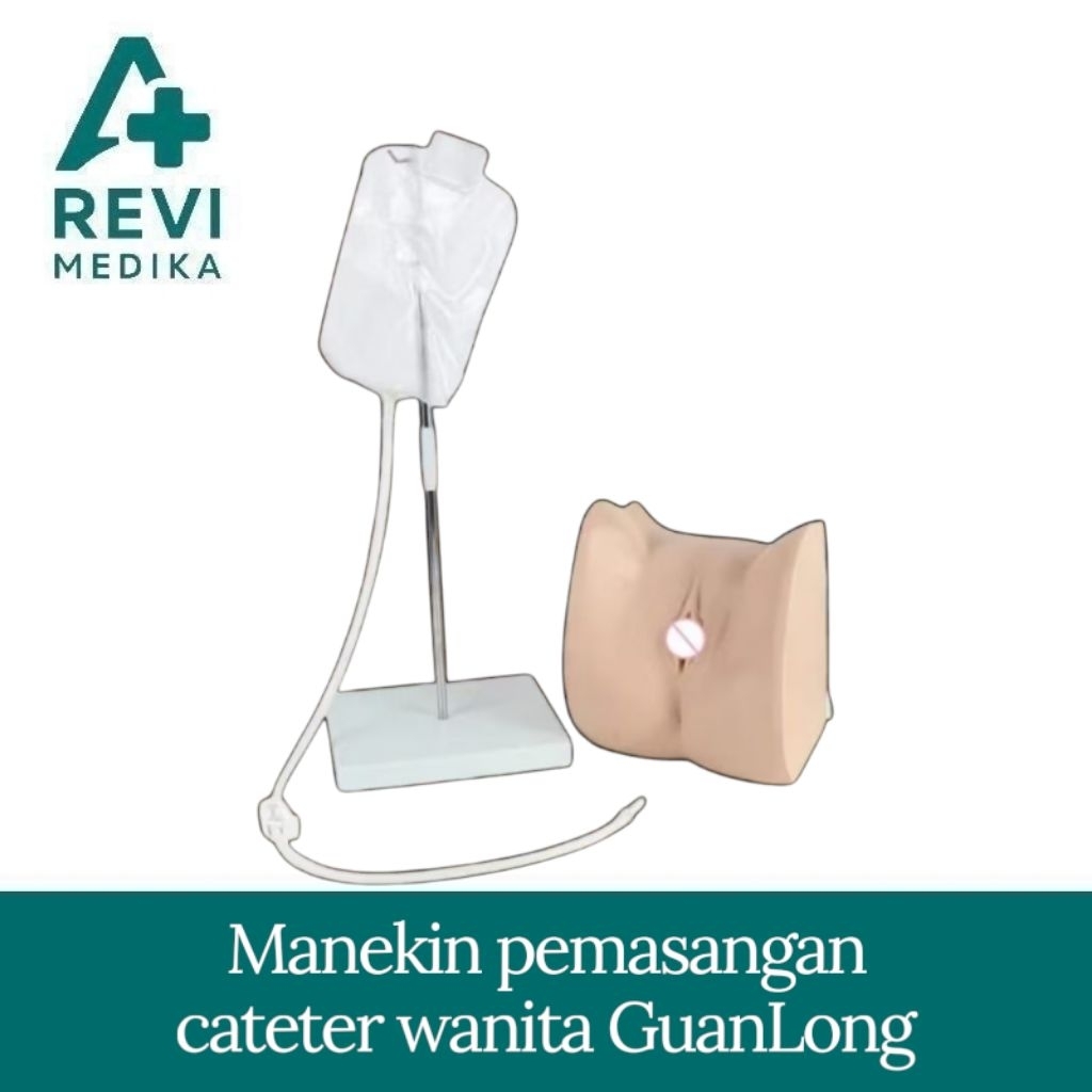 PHANTOM MANEKIN PEMASANGAN CATETER WANITA GUANLONG GL-8405-2/ MANIKIN PEMASANGAN CATETER