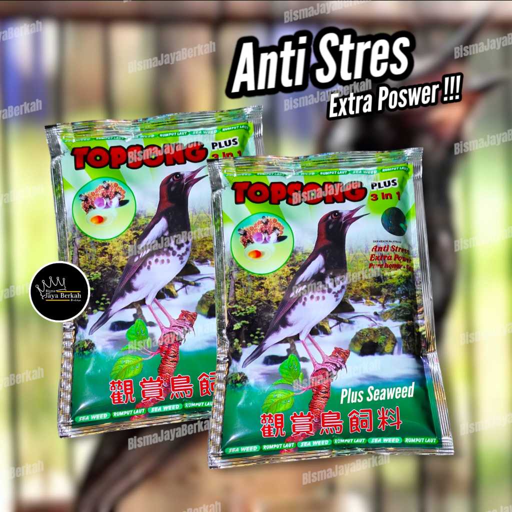 Topsong Plus 3 In 1 Voer Burung Murai Kacer