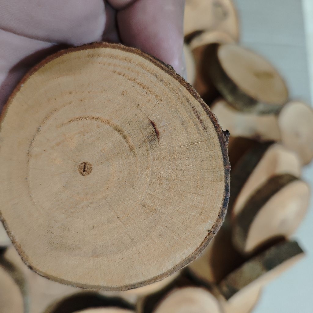 KAYU BELAH 3 CM - 5 cm Wood slice tatakan kayu alami kayu minimalis tatakan gelas pernis