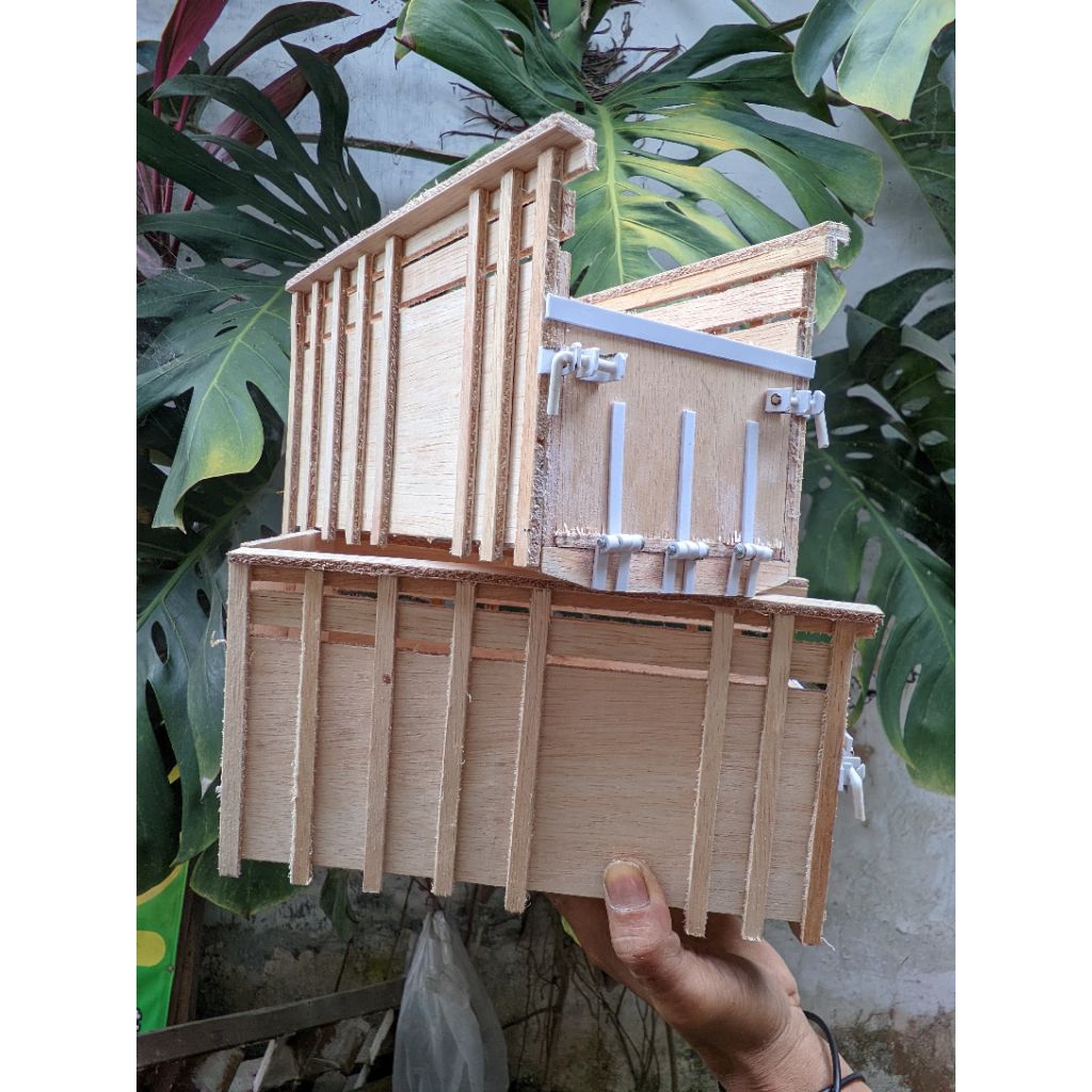 Bak cabe miniatur truk plastik