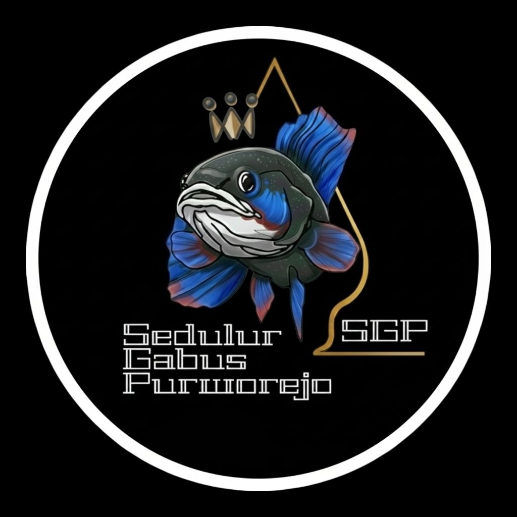 Fermentasi Daun Ketapang untuk Limbata Platinum x Granite -+ 3 cm