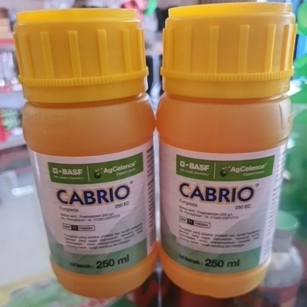 CABRIO FUNGISIDA 250EC 250ML
